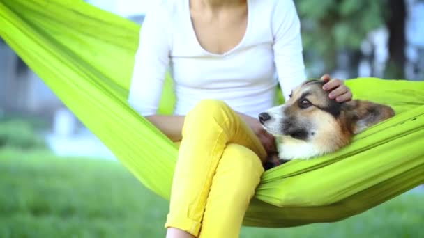 年轻的漂亮微笑的女人与可爱的威尔士科尔吉狗躺在明亮的绿色吊床在公园 — 图库视频影像