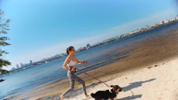 Belle jeune femme sportive mince marchant avec mignon chien tricolore gallois Corgi sur la plage de sable au matin ensoleillé . — Video