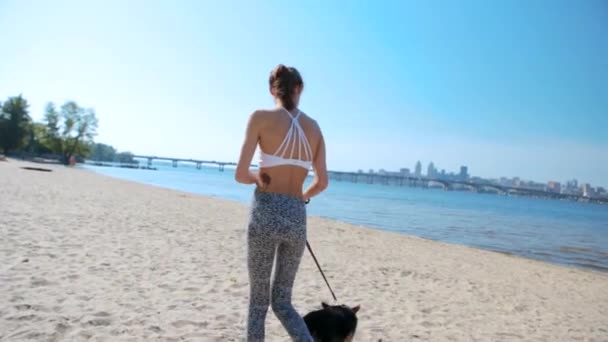 Bela jovem mulher atlética magro andando com bonito tricolor galês Corgi cão na praia de areia na manhã ensolarada . — Vídeo de Stock