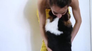 sevimli Tricolor Welsh Corgi köpek kadın sahibi sevgi ile bakıyor ve kadınlılar dizlerinin üzerinde ön pençeleri olur