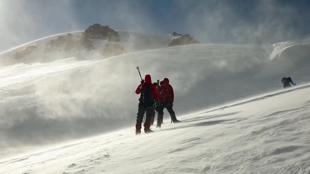 Groep klimmers die omhoog gaan door besneeuwde berghelling. beklimming op de Kazbek berg op zonnige winderige dag. — Stockvideo