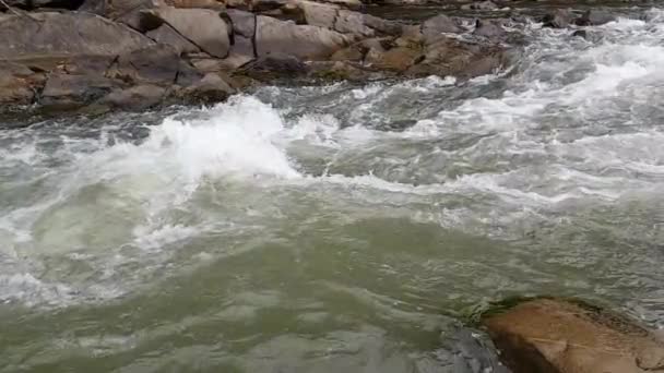 Strumień górski przepływa przez głazy w dół. Dzika rzeka w górach. — Wideo stockowe