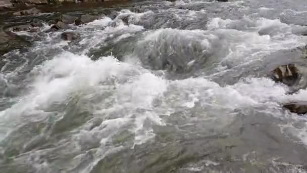 Strumień górski przepływa przez głazy w dół. Dzika rzeka w górach. — Wideo stockowe
