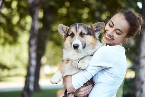 Bir parkta açık sevimli köpek Welsh Corgi tutan gülümseyen bir genç kadın Portresi.