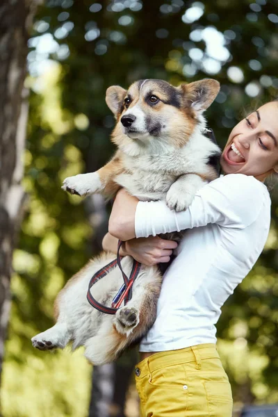 Gülümseyen genç kadın bir parkta açık sevimli köpek Welsh Corgi tutarak. Köpeğe odaklan..