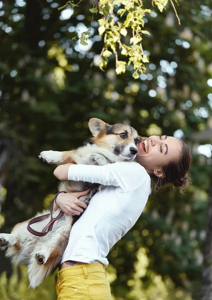 Smiling young woman laughing, holding cute dog Welsh Corgi in a park outdoors. Focus on the dog. — Stock Photo, Image