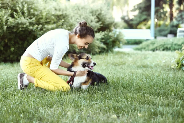 Galês Corgi Pembroke cão e sorrindo mulher feliz juntos em um parque ao ar livre. Concentra-te no cão Corgi . — Fotografia de Stock