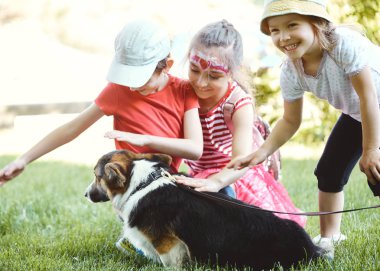 Parkta çim üzerinde Galler Corgi köpek ile oynayan sevimli küçük çocuklar.