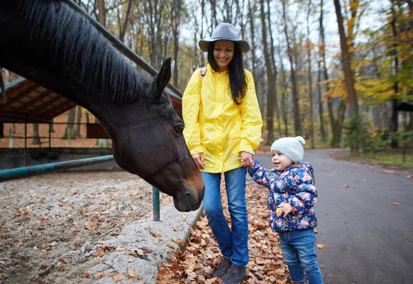 Happy mother with daughter walking in the autumn park and excited looking at the horse. Enjoying time together outdoors at weekend. — Stock Photo, Image