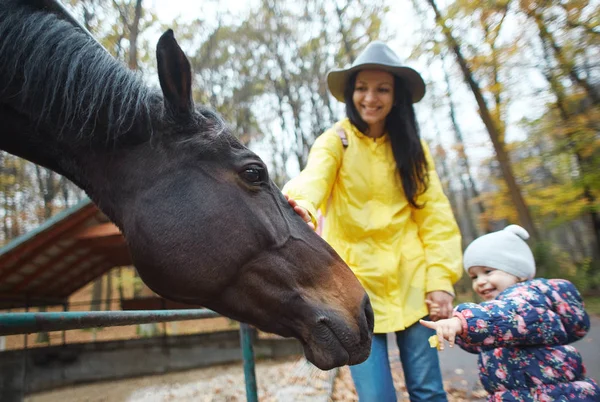 Happy mother with daughter walking in the autumn park and excited petting a horse. Enjoying time together outdoors at weekend. — Stock Photo, Image