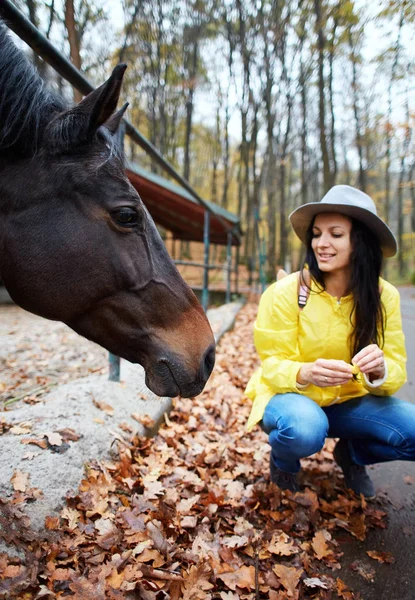 Stylish young woman in yellow waterproof raincoat and hat, sitting and looking at the horse in the autumn park. — Stock Photo, Image