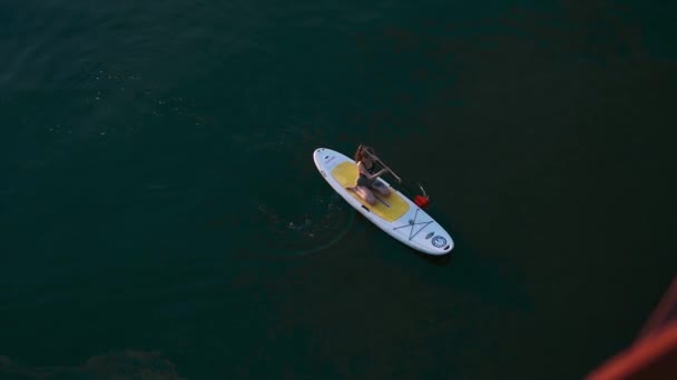 Luftaufnahme einer Frau, die auf einem Surfbrett sitzt und auf einem glatten, ruhigen Fluss rudert. Abend auf dem Fluss. Wasseraktivitäten und Unterhaltung, gesundes Leben — Stockvideo