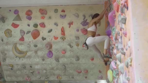 Mujer joven Escalador de rocas está escalando en el interior escalada gimnasio. slim bonita mujer ejercicio en interior escalada gimnasio pared — Vídeo de stock