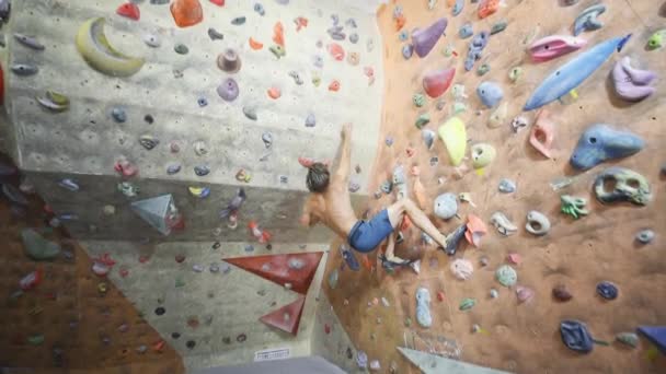 Junge Bergsteigerin klettert in Kletterhalle. schlanke hübsche Frau turnt an Kletterwand — Stockvideo