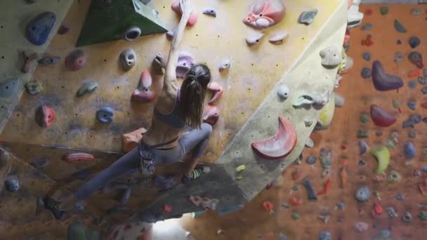 젊은 여성 록 (Woman Rock climber) 은 실내등 반에서 등산을 하고 있다. 날씬 한 여자 가 실내에서 체육관 벽을 오르는 모습 — 비디오