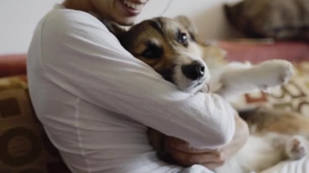 Портрет счастливой улыбающейся женщины со своей милой валлийской собакой Корги, лежащей дома на диване. Красивая брюнетка обнимает смешного щенка — стоковое видео