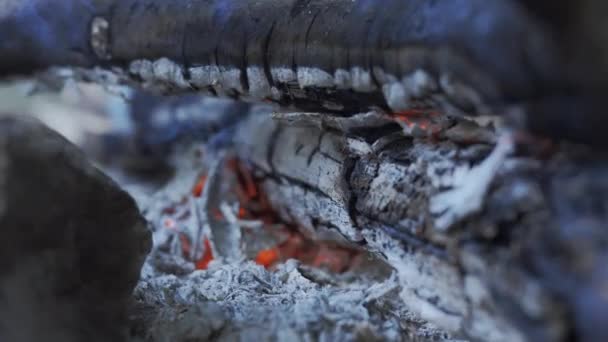 Queima de lenha em um incêndio — Vídeo de Stock