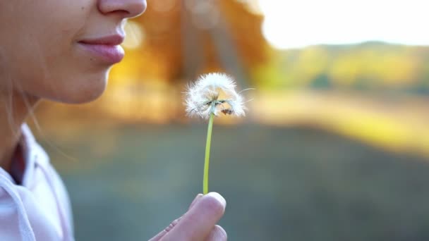 Closeup face of young woman blowing on a dandelion. — ストック動画