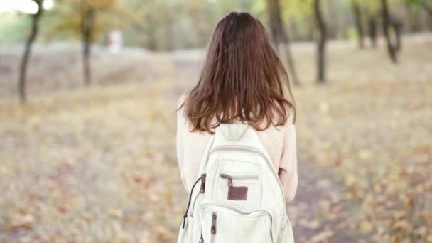 Ung vacker kvinna vandrare med liten ryggsäck promenader i autamn skogen — Stockvideo