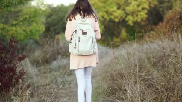 Visão traseira da mulher bonita caminhante com pequena mochila andando na floresta de outamn — Vídeo de Stock