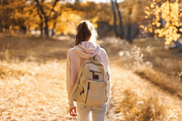 Επιστροφή άποψη του φθινοπώρου γυναίκα περπάτημα στο πάρκο φθινόπωρο με πολύχρωμα φύλλα για το φθινόπωρο φόντο της φύσης. — Φωτογραφία Αρχείου