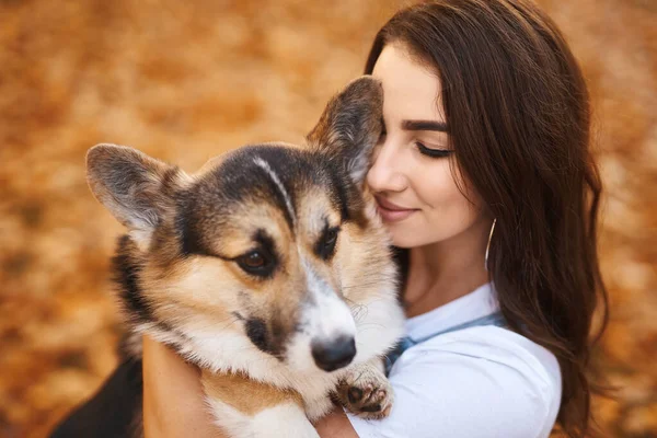 ผู้หญิงที่มีความสุขที่ยิ้มพร้อมกับสุนัข Welsh Corgi Pembroke ในสวนสาธารณะกลางแจ้ง เจ้าของหญิงสาวกอดสัตว์เลี้ยงในสวนสาธารณะในฤดูใบไม้ร่วงบนพื้นหลังใบไม้สีส้ม . — ภาพถ่ายสต็อก