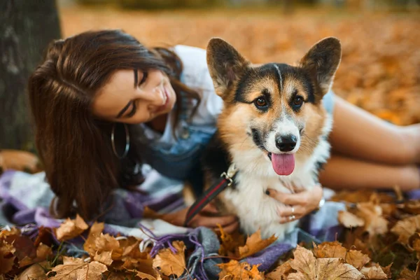 ผู้หญิงที่มีความสุขที่ยิ้มพร้อมกับสุนัข Welsh Corgi Pembroke ในสวนสาธารณะกลางแจ้ง เจ้าของหญิงสาวกอดสัตว์เลี้ยงในสวนสาธารณะในฤดูใบไม้ร่วงบนพื้นหลังใบไม้สีส้ม . — ภาพถ่ายสต็อก