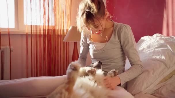 Zarte freundliche junge Frau umarmt und streichelt niedlichen Hund auf Bett im Schlafzimmer — Stockvideo