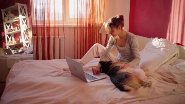 Γυναίκα ελεύθερος επαγγελματίας χρησιμοποιώντας φορητό υπολογιστή στο κρεβάτι που βρίσκεται με αξιολάτρευτο σκυλί corgi — Αρχείο Βίντεο