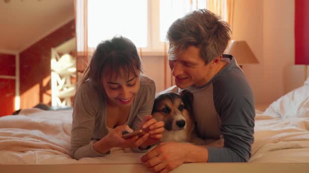 Lovely couple lying on bed in bedroom with cute Welsh Corgi dog — Stock Video