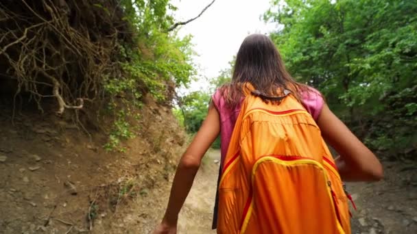 Šťastný dívka hiker chůze podél drsné pozemní silnici v lese — Stock video