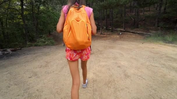 Happy girl hiker walking along rough ground road in woods — Stock Video