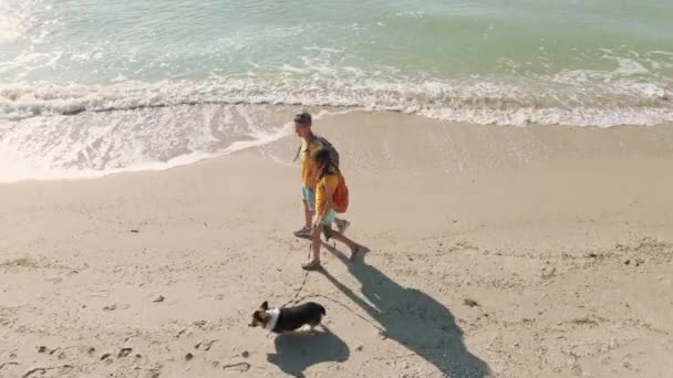 Drone vista feliz pareja con perro caminando mar playa — Vídeos de Stock