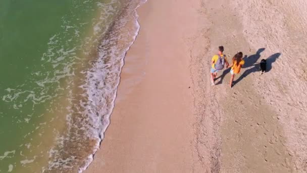 Вид с воздуха счастливая пара с собакой ходьба морской пляж — стоковое видео