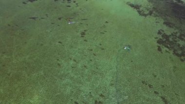 Dron görüntüsü yalnız sörfçü sakin deniz dalgaları üzerinde kayıyor
