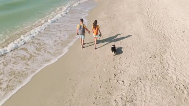 空中ビューハッピーカップル犬歩く海のビーチ — ストック動画