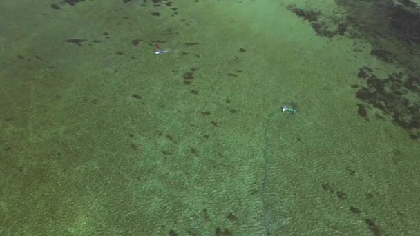 Drone vista sozinho surfista deslizando mar calmo no windsurf — Vídeo de Stock