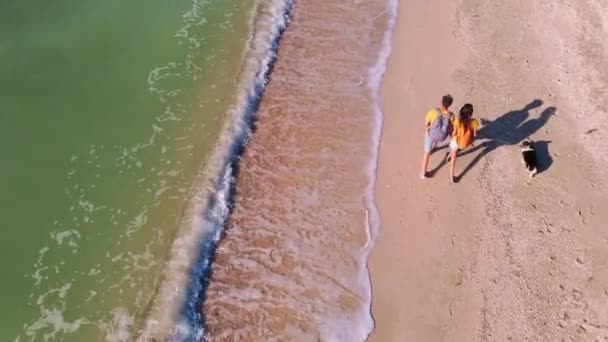 Droner følger etter mann og kvinne som nyter å gå med søt welsh corgi-hund på sandstrand – stockvideo