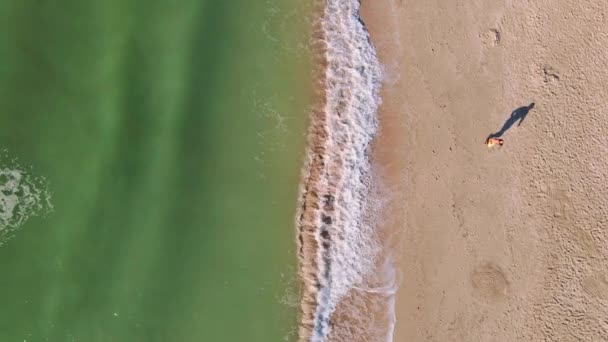 Antenn top down film tom havskust och rinnande människor på sandstrand med havsvatten på morgonen. — Stockvideo