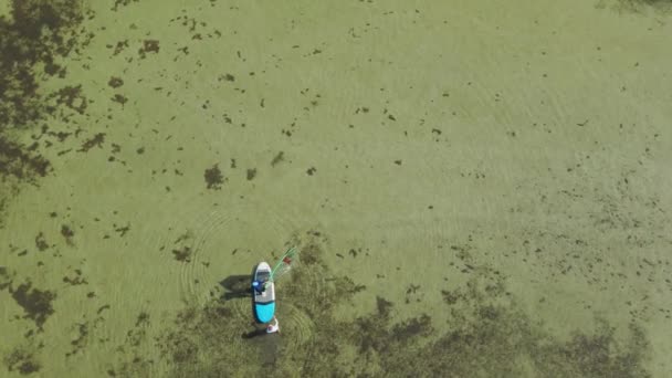 Letecké drone záběry instruktorky windsurf výuka žena začátečník na stojící na surfu — Stock video