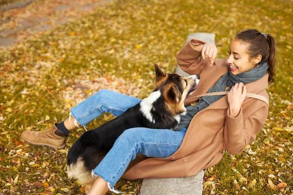 Ung kvinna leker med sin bedårande walesiska Corgi hund på gräs med lövverk i höstparken. — Stockfoto