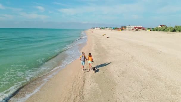 Беспилотник прелестной пары с милой валлийской корги собака бежит вдоль песчаного пляжа — стоковое видео