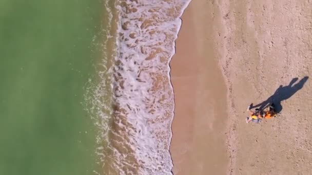 Запись беспилотника пара с собакой Корги гуляющей по песчаному пляжу — стоковое видео
