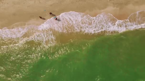 Κύματα συντρίβονται στην αμμώδη παραλία με τους ανθρώπους στην παραλία — Αρχείο Βίντεο