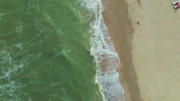 Casal vista aérea indo para a água para nadar no oceano. — Vídeo de Stock