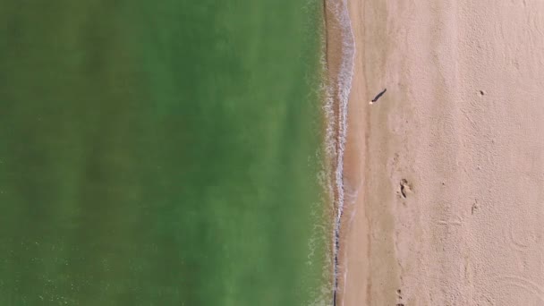 Vista aérea praia do mar e pessoas correndo — Vídeo de Stock