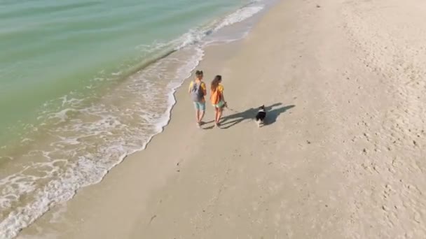 Riprese aeree di coppia felice con cane a piedi spiaggia sul mare — Video Stock