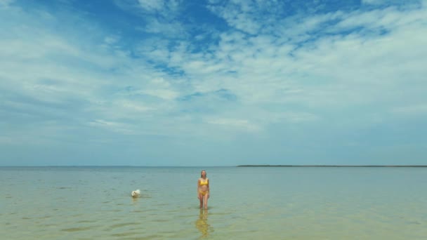 Slow motion drone film kvinna i gul bikini går ut i havet — Stockvideo