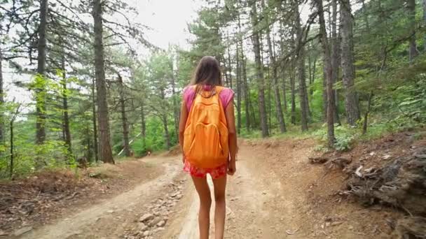 Menina feliz caminhante andando ao longo da estrada chão áspero na floresta — Vídeo de Stock