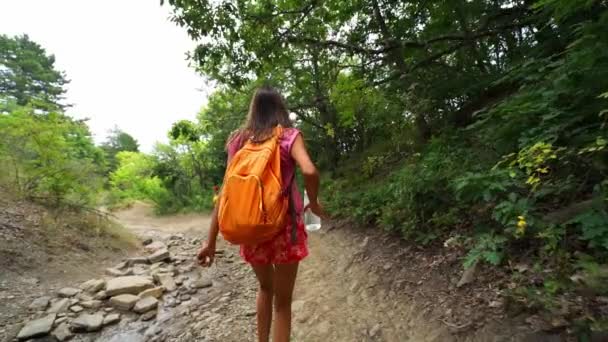 Gelukkig meisje wandelaar wandelen langs ruw terrein weg in het bos — Stockvideo
